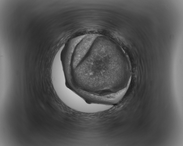 X0000086260916200704191900