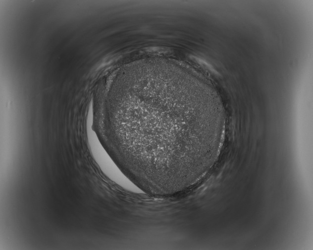 X0000086260917200704191900