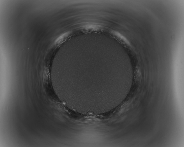 X0000086260918200704191900