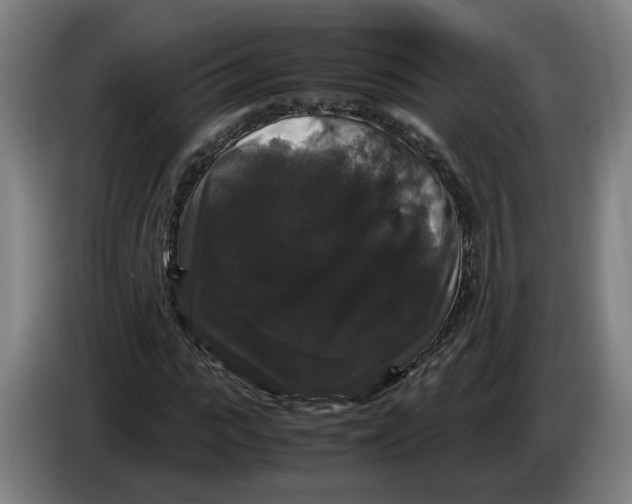X0000086260919200704191900