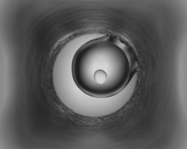 X0000086260920200704191900
