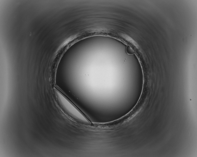 X0000086260922200704191900