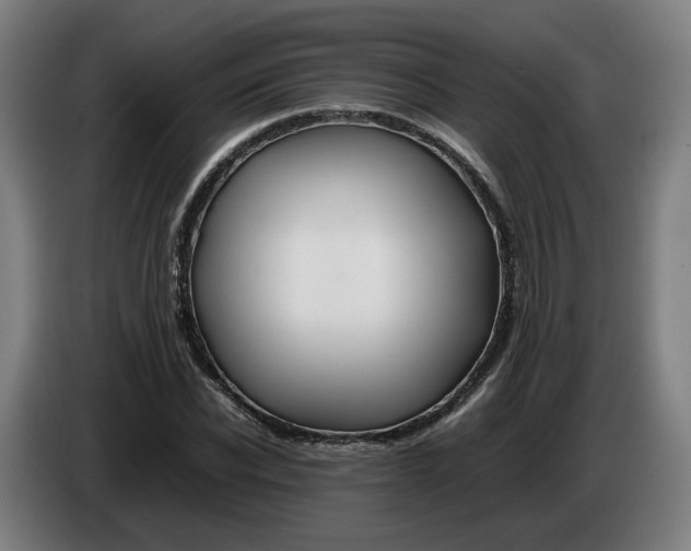 X0000086260926200704191900