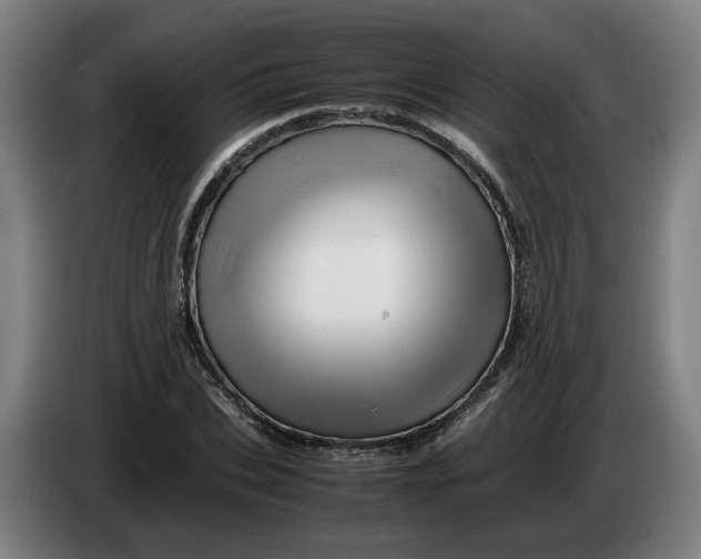 X0000086260927200704191900