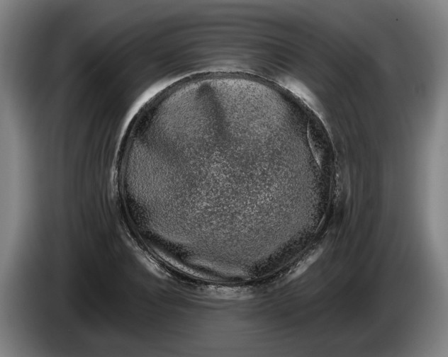 X0000086260928200704191900
