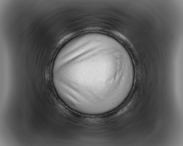 X0000086260929200704191900