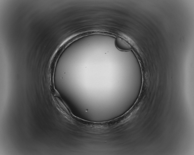 X0000086260931200704191900