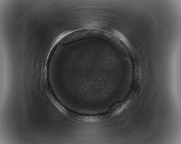 X0000086260932200704191900