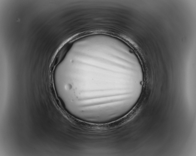 X0000086260933200704191900