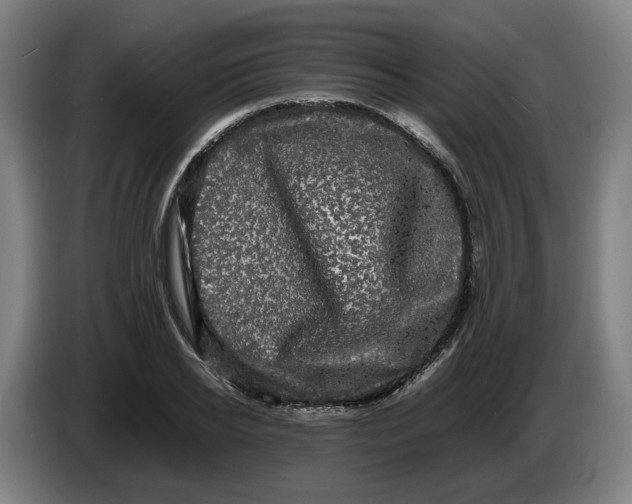 X0000086260934200704191900