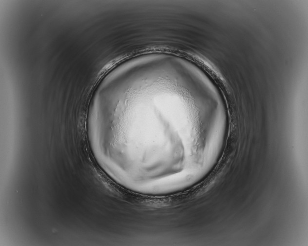 X0000086260937200704191900