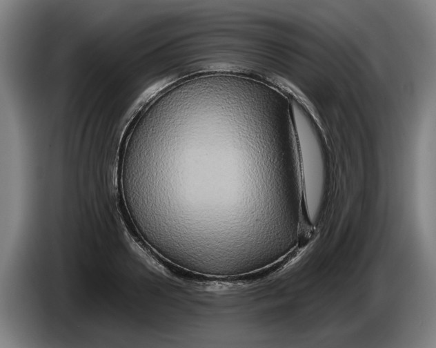 X0000086260938200704191901