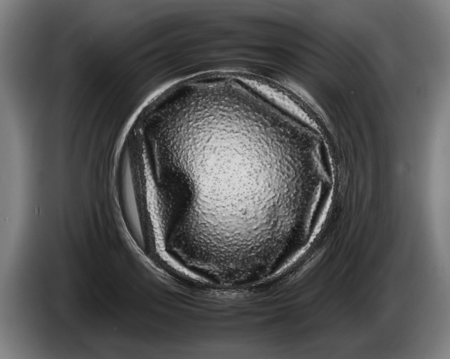 X0000086260939200704191901