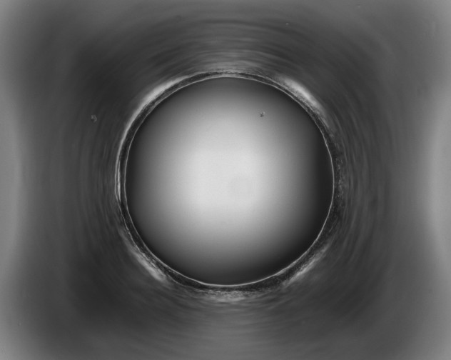 X0000086260940200704191901