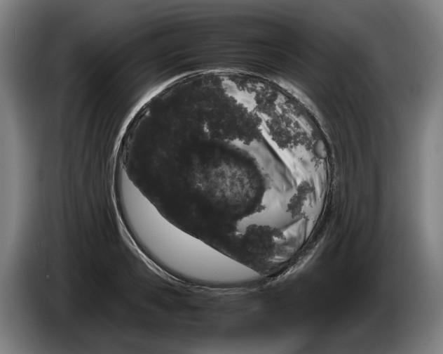 X0000086260941200704191901