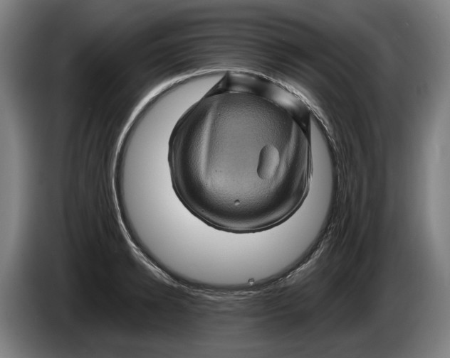 X0000086260942200704191901