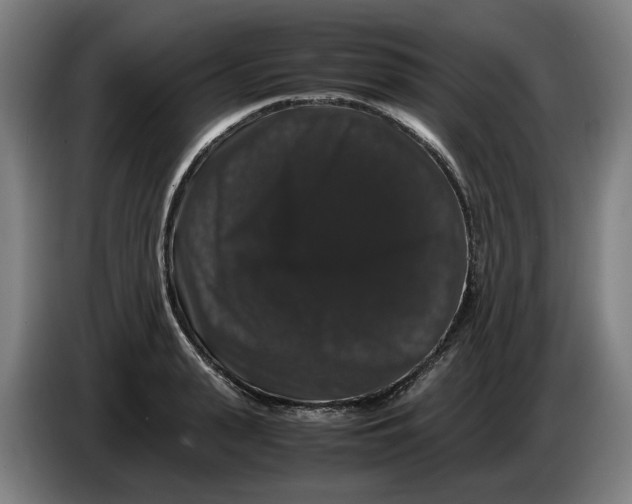 X0000086260943200704191901