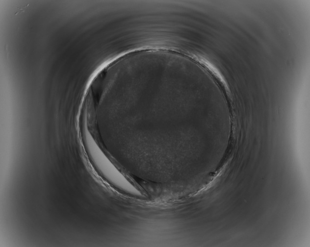 X0000086260944200704191901