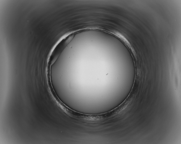 X0000086260947200704191901