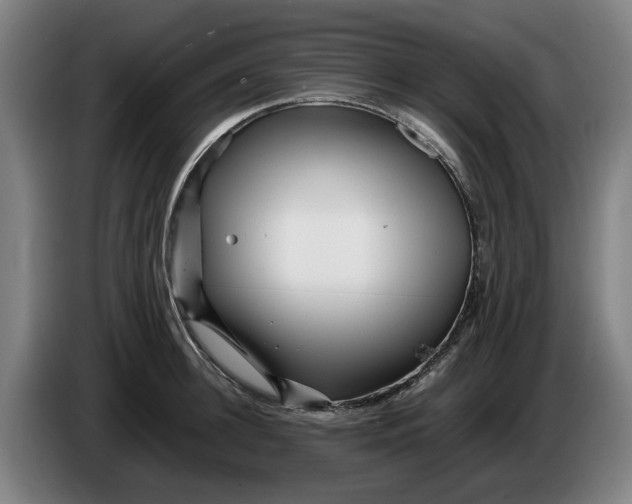 X0000086260948200704191901