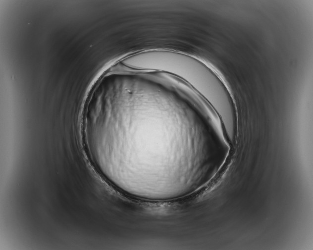 X0000086260949200704191901