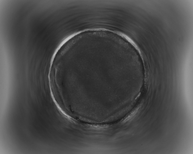 X0000086260951200704191901