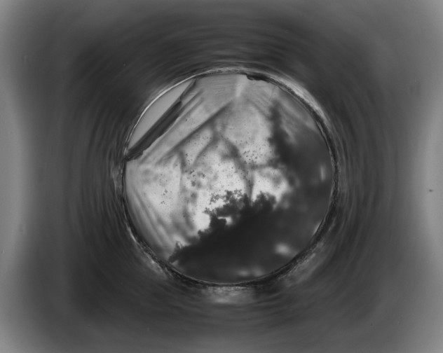 X0000086260953200704191901