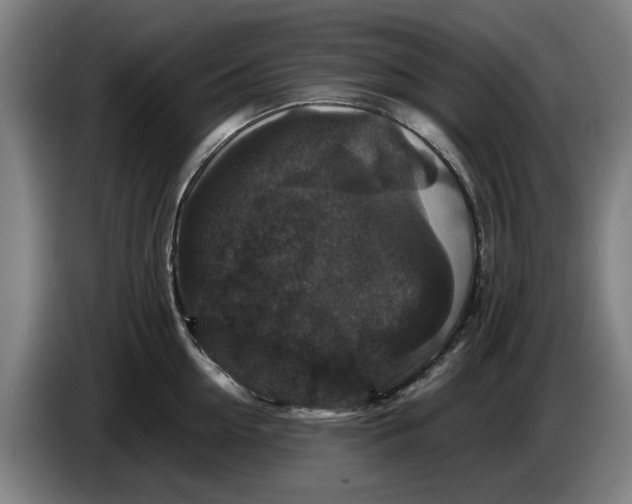 X0000086260954200704191901