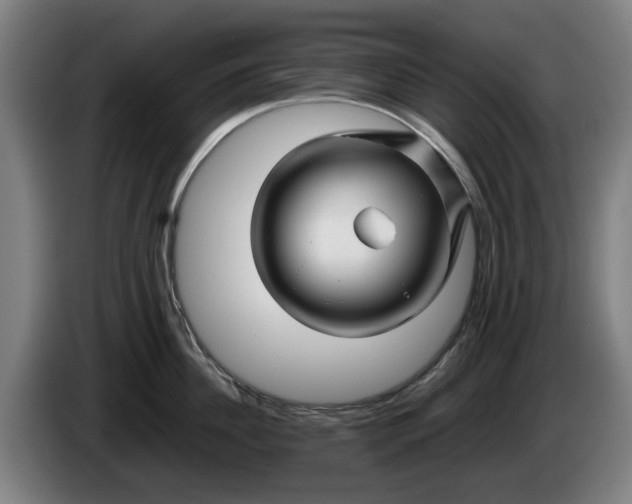 X0000086260956200704191901