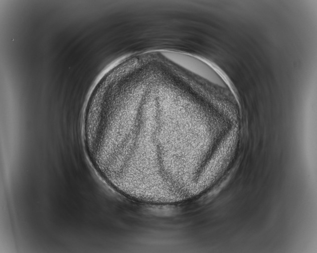 X0000086260957200704191901