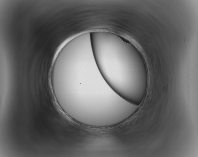 X0000086260960200704191901