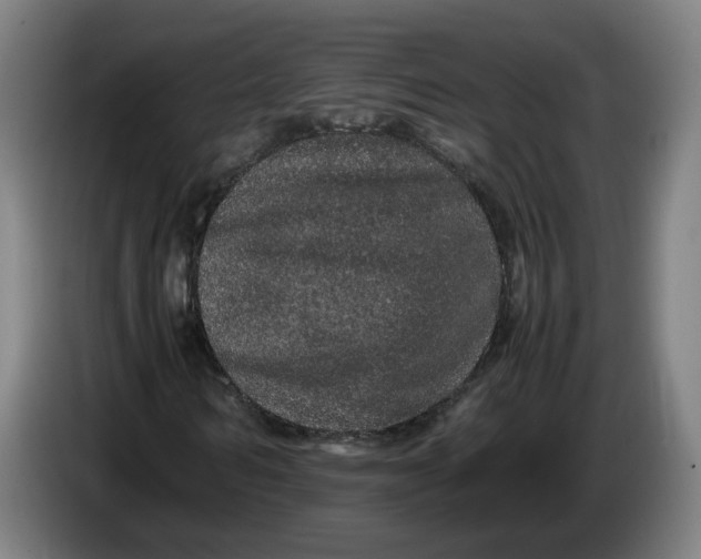 X0000086260962200704191900