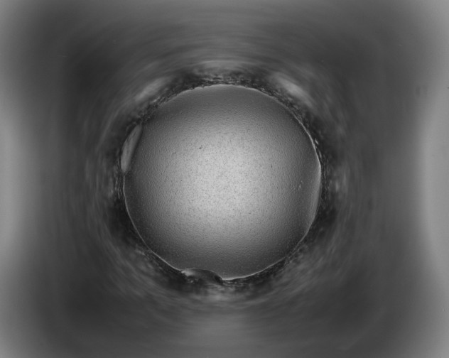 X0000086260965200704191900