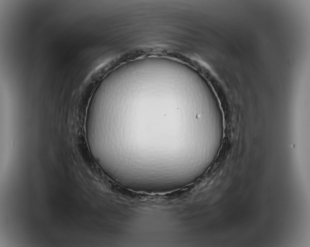 X0000086260967200704191900