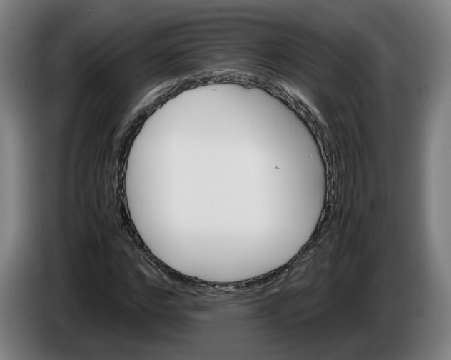 X0000086260968200704191900