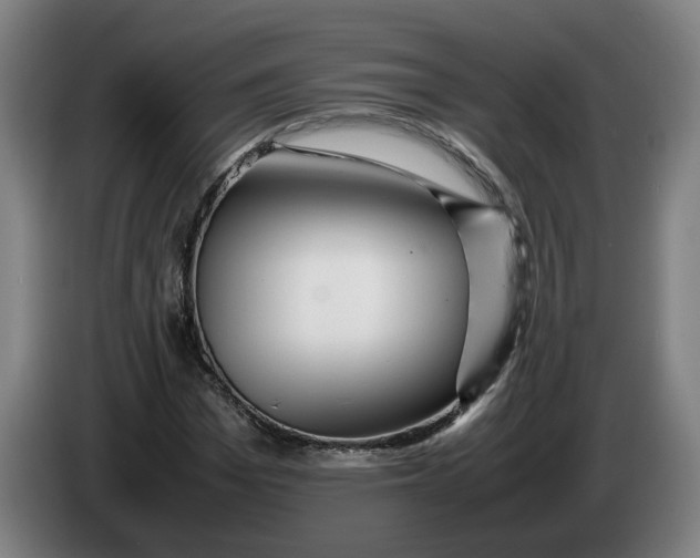 X0000086260969200704191900