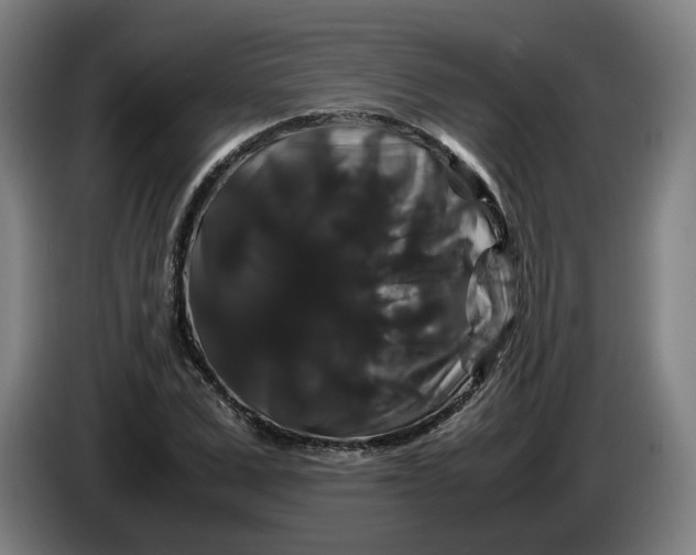 X0000086260975200704191900