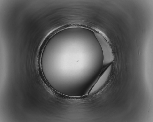 X0000086260976200704191900