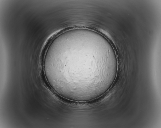 X0000086260979200704191900