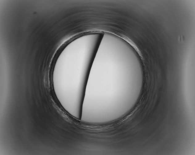 X0000086260980200704191900