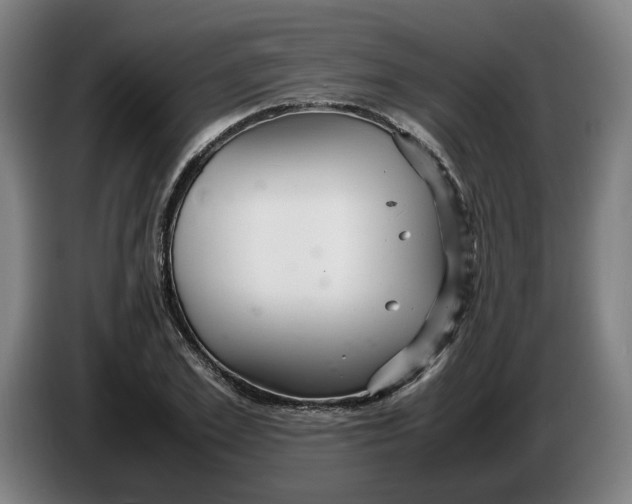 X0000086260981200704191900