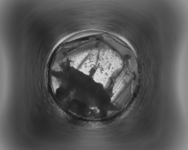 X0000086260983200704191900