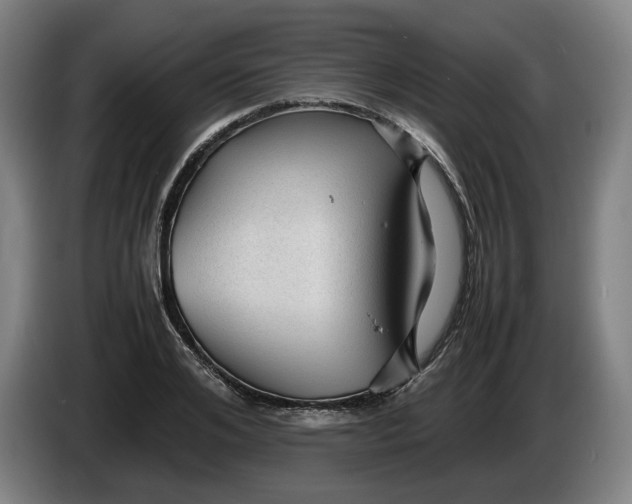X0000086260984200704191900