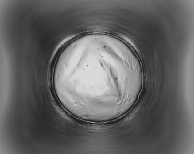 X0000086260987200704191900