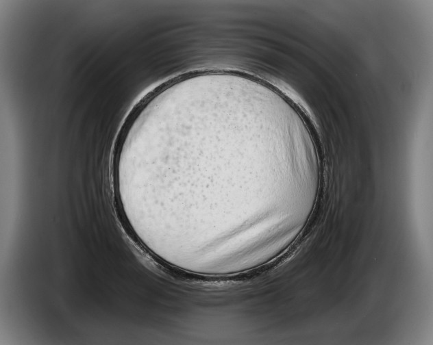 X0000086260988200704191900
