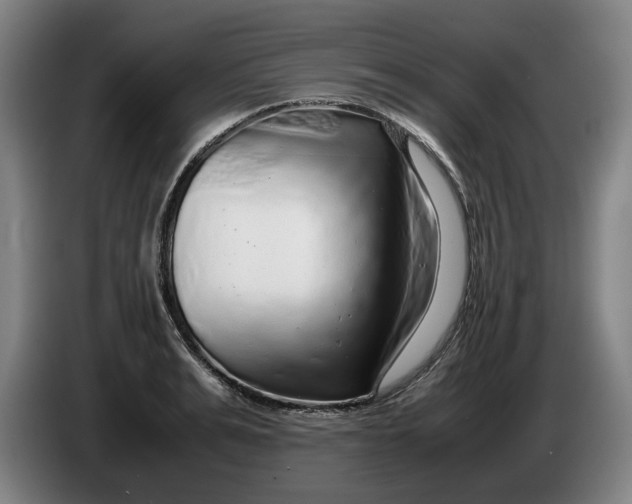 X0000086260991200704191900