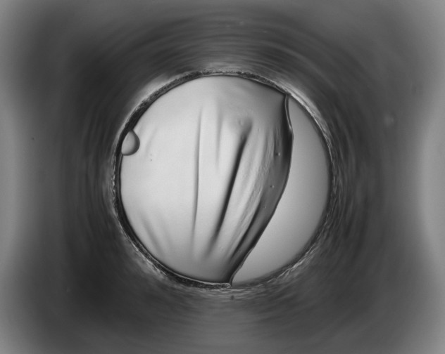 X0000086260992200704191900