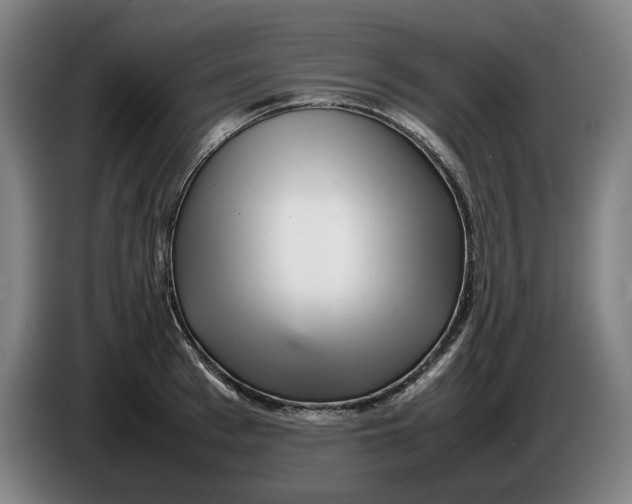 X0000086260993200704191900
