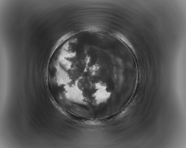 X0000086260994200704191900
