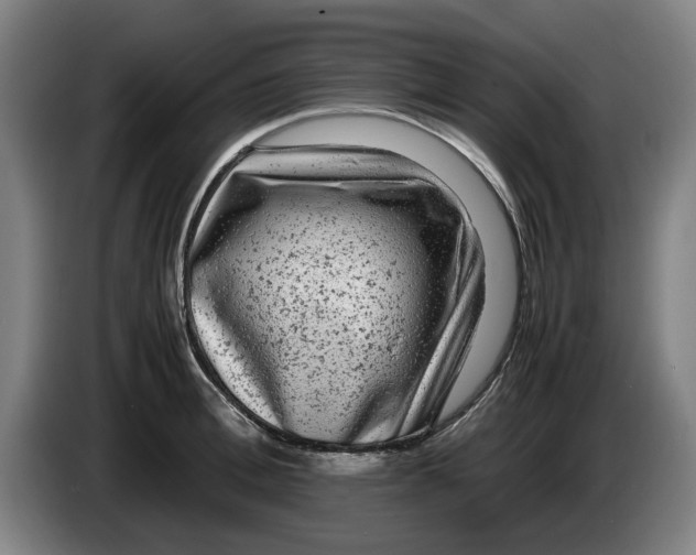 X0000086260996200704191900